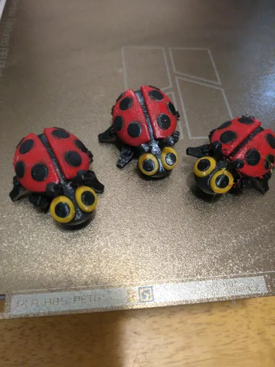 https://makerworld.bblmw.com/makerworld/model/684841/613582/ratings/47786c00-ae01-11f0-9bf2-77607ada53f4.jpg