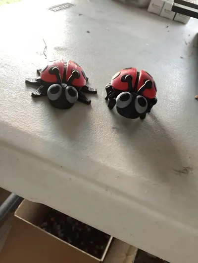 https://makerworld.bblmw.com/makerworld/model/684841/613582/ratings/47eaf030-7af9-11f0-ab92-373256914eec.jpg