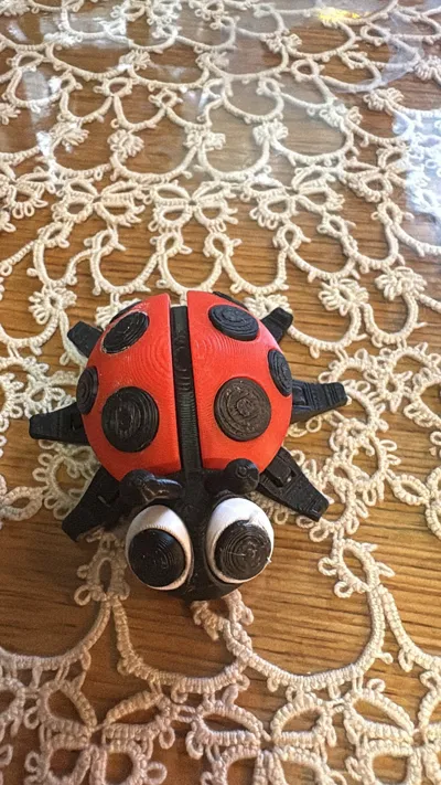 https://makerworld.bblmw.com/makerworld/model/684841/926500/ratings/31547ac0-4e22-11f0-8043-93c8d5dafb51.jpg