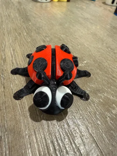 https://makerworld.bblmw.com/makerworld/model/684841/926500/ratings/b62f8a50-26f4-11f0-90a5-b381388baf29.jpg