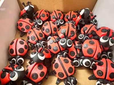 https://makerworld.bblmw.com/makerworld/model/684841/926500/ratings/d43ff900-2837-11f0-bbb2-e3434d5e0c3d.jpg