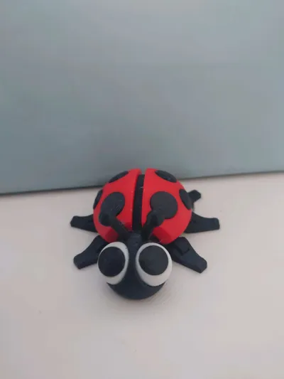 https://makerworld.bblmw.com/makerworld/model/684841/926500/ratings/e6043140-9bac-11f0-97e0-379a391a47d3.jpg