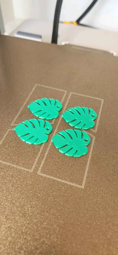 https://makerworld.bblmw.com/makerworld/model/688486/617214/ratings/092ce490-919f-11f0-af7d-bf0bfc96d45c.jpg