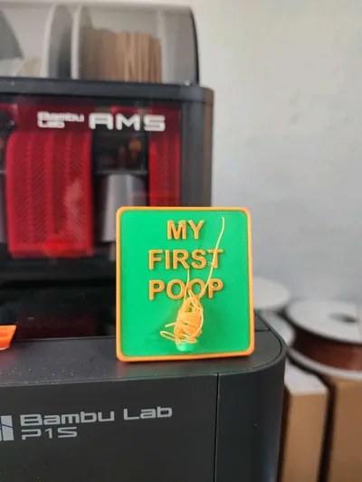https://makerworld.bblmw.com/makerworld/model/690124/618905/ratings/0e06d690-ef1b-11f0-a6a2-69add3e22870.jpg
