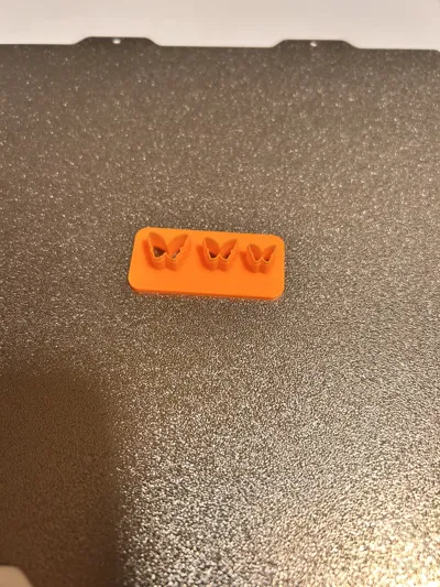 https://makerworld.bblmw.com/makerworld/model/691327/620642/ratings/57d88330-1984-11f0-9022-55825eb8dc98.jpg