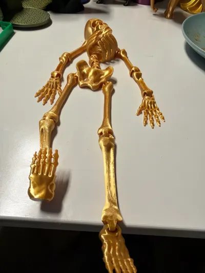 https://makerworld.bblmw.com/makerworld/model/692453/621169/ratings/23a71db0-cfaa-11f0-896f-0fc4a7668ef8.jpg