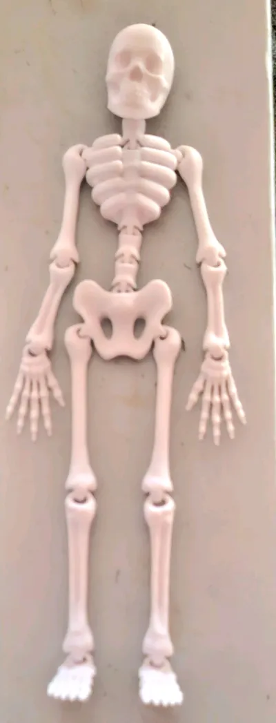 https://makerworld.bblmw.com/makerworld/model/692453/621169/ratings/a0ac23e0-9f63-11f0-84d2-fba641c44df5.jpg