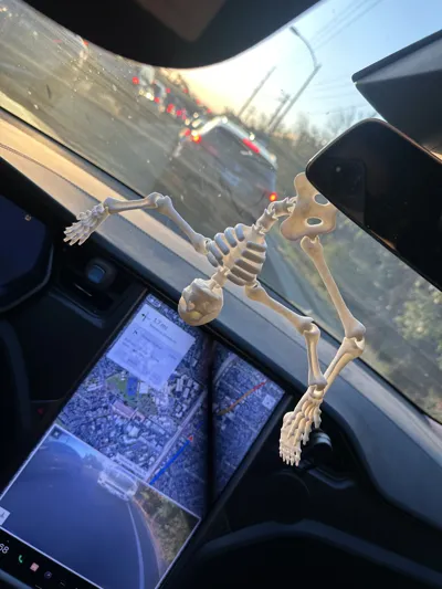 Flexi skeleton by uni3Dworld MakerWorld: Download Free 3D Models