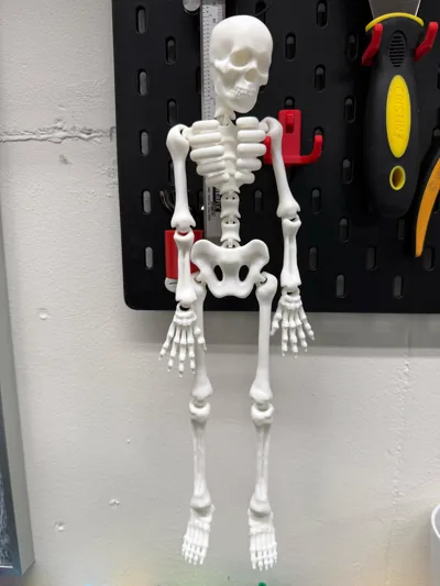 https://makerworld.bblmw.com/makerworld/model/692453/621169/ratings/fe59ada0-897e-11f0-ac7c-65694121023b.jpg