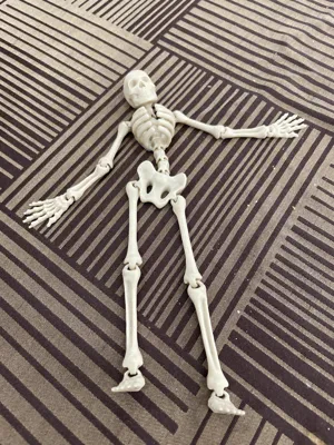 Flexi skeleton by uni3Dworld MakerWorld: Download Free 3D Models