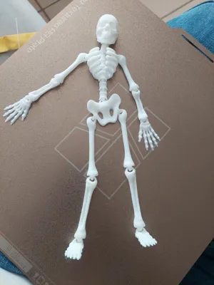 Flexi skeleton by uni3Dworld MakerWorld: Download Free 3D Models