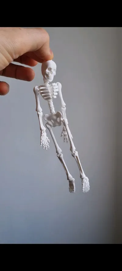 https://makerworld.bblmw.com/makerworld/model/692453/663632/ratings/821c0550-0fbf-11f0-bdf0-af74b22d5b0c.jpg