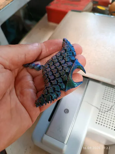 https://makerworld.bblmw.com/makerworld/model/692963/820259/ratings/2684cb50-7abd-11f0-996e-5f81e16bfb1e.jpg