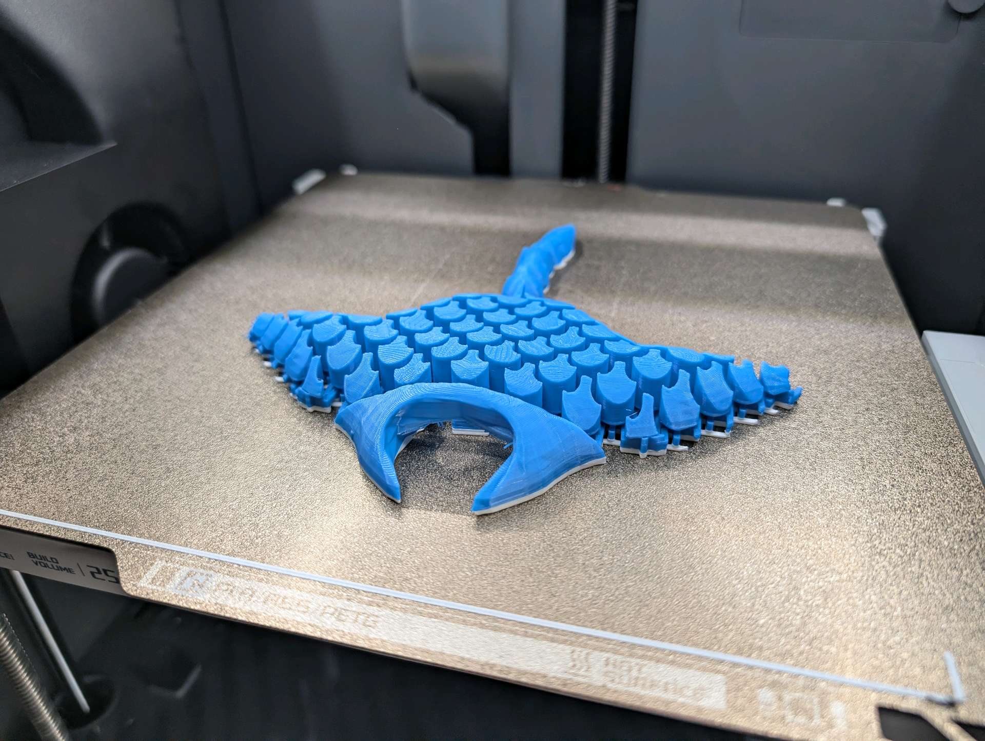 Mantarrayas