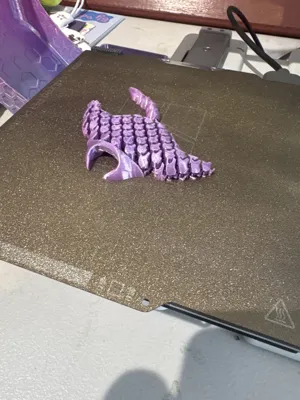 https://makerworld.bblmw.com/makerworld/model/692963/820259/ratings/5babe7d0-f7a2-11ef-b511-1dce2796d9cd.jpg