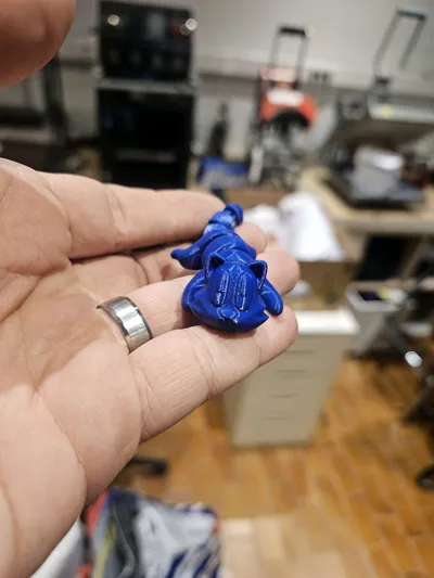 https://makerworld.bblmw.com/makerworld/model/693247/621970/ratings/7f3c6320-0e4d-11f0-894b-31a79aef0fb4.jpg