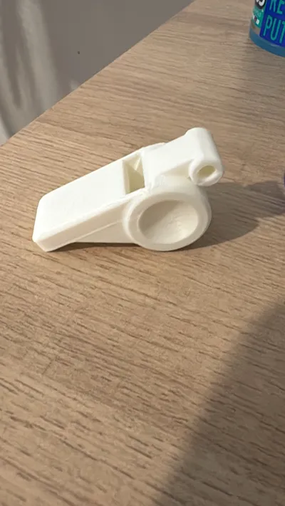 https://makerworld.bblmw.com/makerworld/model/695558/626465/ratings/46cb3ab0-6e48-11f0-a02a-632fabdc7414.jpg