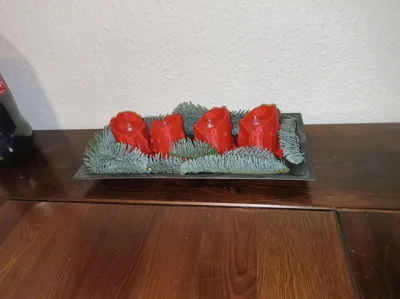 https://makerworld.bblmw.com/makerworld/model/696271/625255/ratings/cac3b350-cc6d-11f0-958c-b7447d499a90.jpg