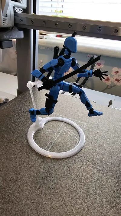 https://makerworld.bblmw.com/makerworld/model/696582/625522/ratings/3a10e6b0-a5c2-11f0-9e4e-2bde2d0d3953.jpg