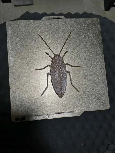 https://makerworld.bblmw.com/makerworld/model/697448/626457/ratings/7dd24b60-77c2-11f0-9e7e-dd9d482ba3bb.jpg