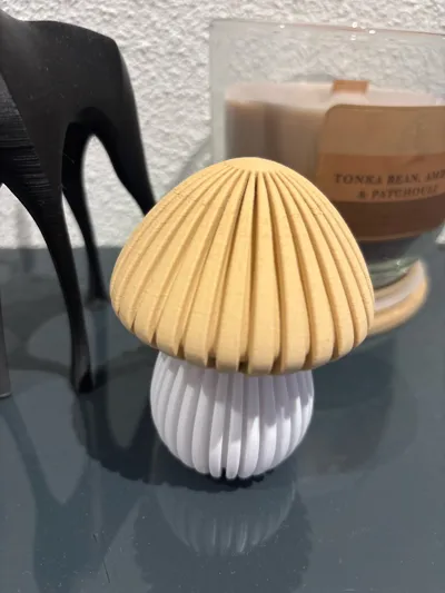 https://makerworld.bblmw.com/makerworld/model/699154/628396/ratings/34ae5c70-b562-11f0-bdf9-b918fa718dd3.jpg