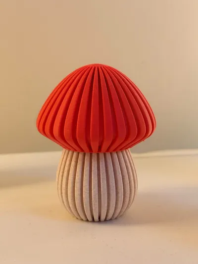 https://makerworld.bblmw.com/makerworld/model/699154/628396/ratings/ecc63ad0-d231-11f0-aa46-99eaf533a3e2.jpg