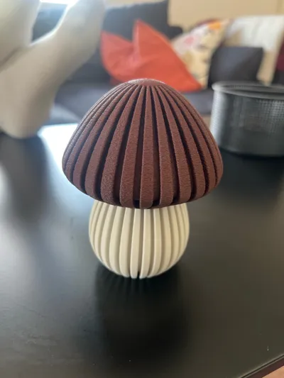 https://makerworld.bblmw.com/makerworld/model/699154/629529/ratings/2c926410-8a55-11f0-a9b7-59f31422f655.jpg
