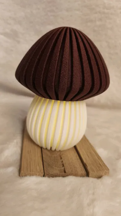 https://makerworld.bblmw.com/makerworld/model/699154/629529/ratings/7cd9d290-6814-11f0-8889-47f0acacd8aa.jpg