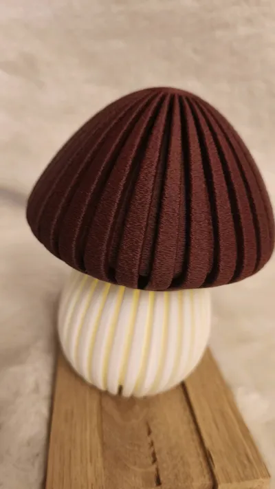 https://makerworld.bblmw.com/makerworld/model/699154/629529/ratings/7cdba750-6814-11f0-8889-47f0acacd8aa.jpg