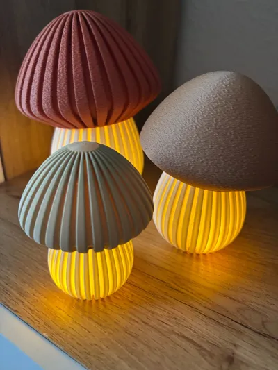 https://makerworld.bblmw.com/makerworld/model/699154/629529/ratings/84f56c50-8dbc-11f0-849f-791b9e187087.jpg