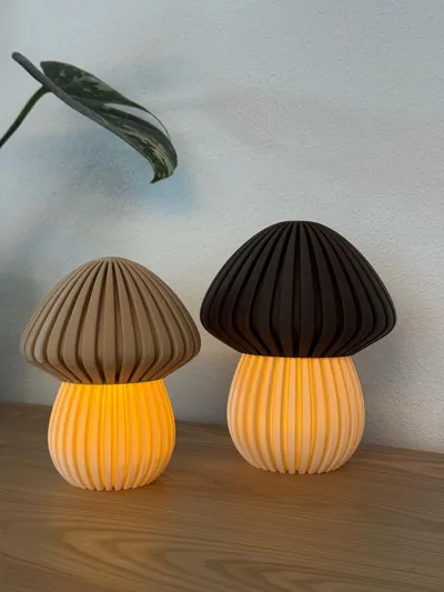 https://makerworld.bblmw.com/makerworld/model/699154/629529/ratings/b03ea850-875d-11f0-ab4a-4770ebdeb9e4.jpg
