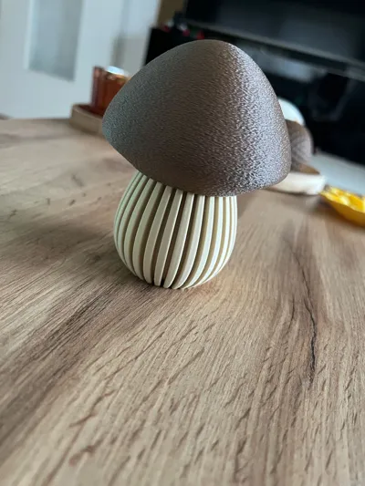 https://makerworld.bblmw.com/makerworld/model/699154/629531/ratings/0950ea40-9e77-11f0-a4ad-6f42da55804b.jpg