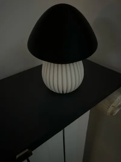 https://makerworld.bblmw.com/makerworld/model/699154/629531/ratings/3bd03900-0e5b-11f0-9e22-2330481ece7c.jpg