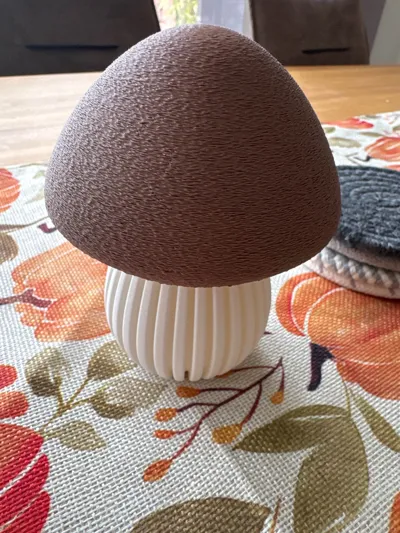https://makerworld.bblmw.com/makerworld/model/699154/629531/ratings/56fd2040-a02c-11f0-ace1-bdb249086fc7.jpg