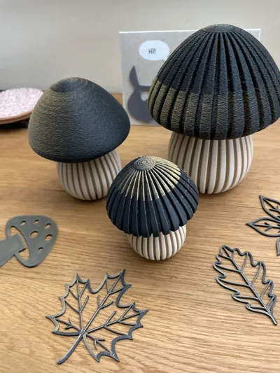 https://makerworld.bblmw.com/makerworld/model/699154/639732/ratings/3522ab60-a9d8-11f0-8ea6-4b3ba3de528f.jpg
