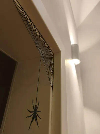 https://makerworld.bblmw.com/makerworld/model/699596/628897/ratings/dfbe4000-f868-11f0-842a-011adf533728.jpg