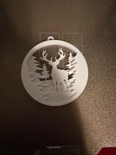 https://makerworld.bblmw.com/makerworld/model/700240/629594/ratings/f3968420-d31f-11f0-90f6-87d5f4909204.jpg