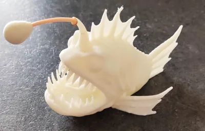 https://makerworld.bblmw.com/makerworld/model/701133/630612/ratings/35c39210-f6a9-11ef-9256-8bed90dd3a41.jpg