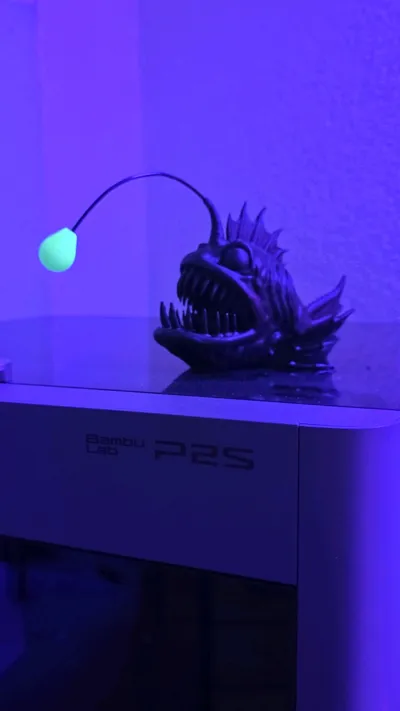 https://makerworld.bblmw.com/makerworld/model/701133/630612/ratings/af950300-e8d2-11f0-a013-d37a9265474f.jpg