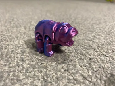 https://makerworld.bblmw.com/makerworld/model/702097/1131353/ratings/4626e520-a221-11f0-bfec-6bc20f5af32f.jpg