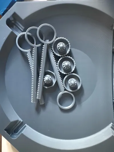 https://makerworld.bblmw.com/makerworld/model/702556/632236/ratings/1a7f7710-c78e-11f0-9956-c50a2ab6ef11.jpg