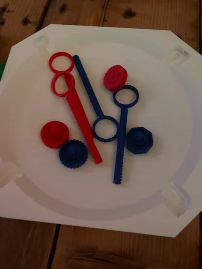 https://makerworld.bblmw.com/makerworld/model/702556/632252/ratings/14f9c520-1faa-11f0-96e4-39419bec7254.jpg