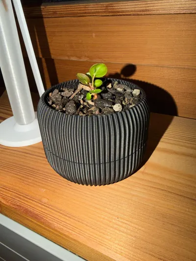 https://makerworld.bblmw.com/makerworld/model/702611/632307/ratings/7c4d4120-c626-11f0-b77d-7578af1f00b4.jpg