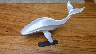https://makerworld.bblmw.com/makerworld/model/702899/632628/ratings/be0b62a0-9e43-11f0-b5c6-8fd600861a52.jpg