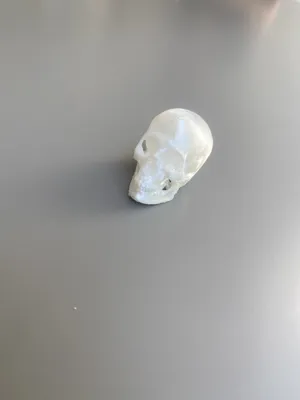 Skull by tyler.johnston MakerWorld: Download Free 3D Models