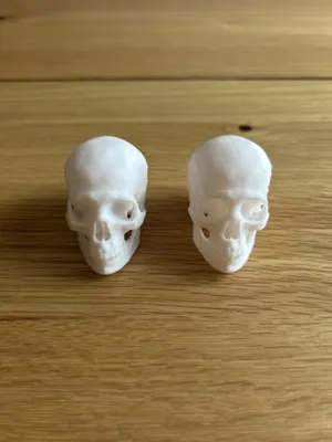 Skull by tyler.johnston MakerWorld: Download Free 3D Models