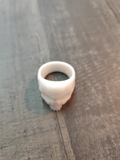 https://makerworld.bblmw.com/makerworld/model/704724/634553/ratings/56b7e060-026c-11f0-b9d0-8fecabf09a5a.jpg