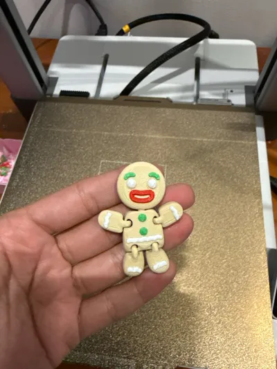 https://makerworld.bblmw.com/makerworld/model/707471/638125/ratings/caad0e50-e277-11f0-8081-89aed6dc5c6d.jpg