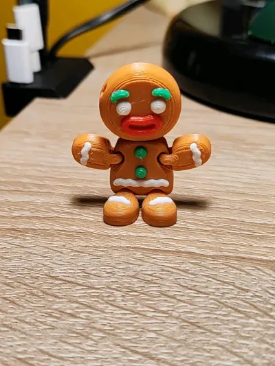 https://makerworld.bblmw.com/makerworld/model/707471/638125/ratings/f1d28f30-2ab9-11f0-8683-7def8559dbe3.jpg