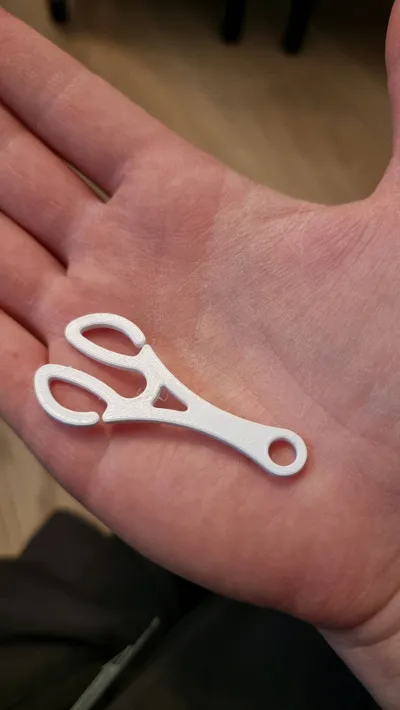 https://makerworld.bblmw.com/makerworld/model/707968/638118/ratings/3b947dc0-1699-11f0-bd06-a9e39ac53688.jpg